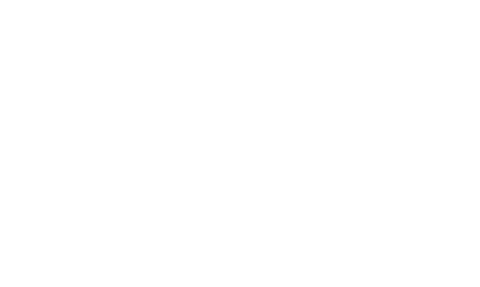 Falcon Finvest